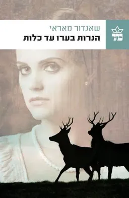 עטיפת הנרות בערו עד כלות [מהדורת 2013]