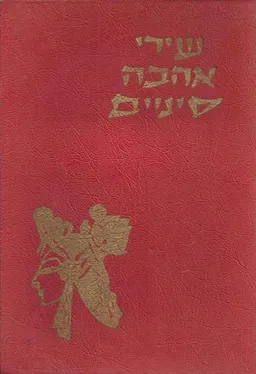 עטיפת הספר שירי אהבה סיניים : לקט משירת סין מאת 