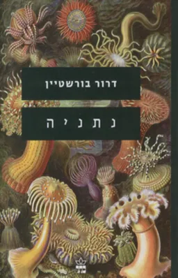 נתניה