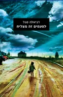 לפעמים זה מצליח