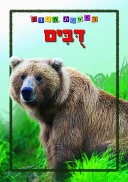 עטיפת דובים [סדרת ראשית מידע]