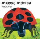 החיפושית העצבנית -דפים עבים