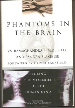 Phantoms in the Brain