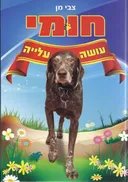 חומי עושה עלייה