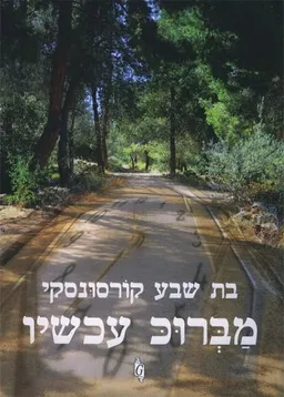 עטיפת מברוכ עכשיו