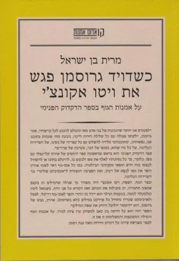 עטיפת הספר כשדויד גרוסמן פגש את ויטו אקונצ`י מאת מרית בן-ישראל