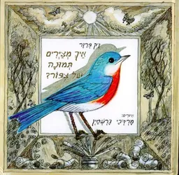 איך מציירים תמונה של ציפור?