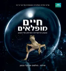 חיים מופלאים