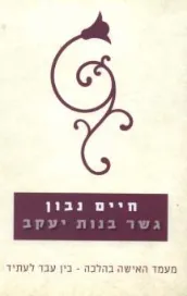 עטיפת הספר גשר בנות יעקב מאת חיים נבון