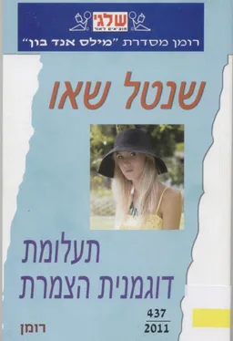 עטיפת הספר תעלומת דוגמנית הצמרת(437) מאת שנטל שאו