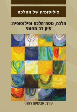 הלכה, מטה-הלכה ופילוסופיה: עיון רב תחומי