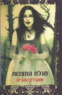מגלת המצבות