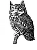 תמונה של האח הגדול