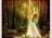 Books__princess__