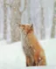 תמונה של RedFox 
