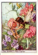 תמונה של בוגה