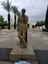 moshef