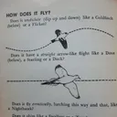 תמונה של אלעד