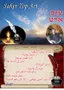 SAKER TOP ART