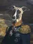 mr dog