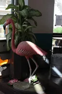 תמונה של ריני