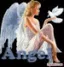 תמונה של angel 