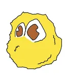 תמונה של yotam