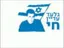 זיו