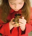 תמונה של נחמה עליזה בוגנים