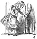 תמונה של rainbow