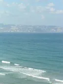 תמונה של לולי