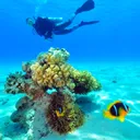 תמונה של Josefico