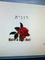 תמונה של ר ו נ י ת 