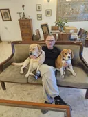 תמונה של דן סתיו