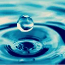 תמונה של שרון