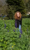 תמונה של יסמין